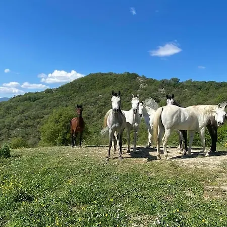别墅 Ca Valeria - Lussuosa In Campagna Campo Reggiano