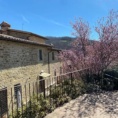 Ca Valeria - Lussuosa In Campagna Villa Campo Reggiano