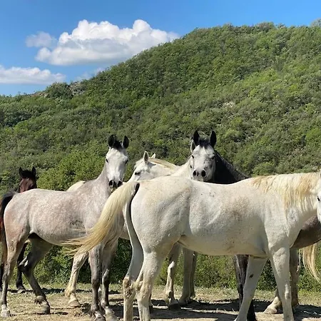 וילה Ca Valeria - Lussuosa In Campagna Campo Reggiano